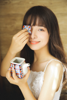 巡回检察组1